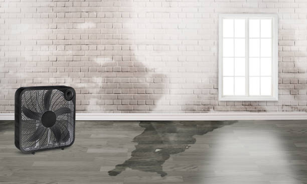 Water damage restoration process in CA