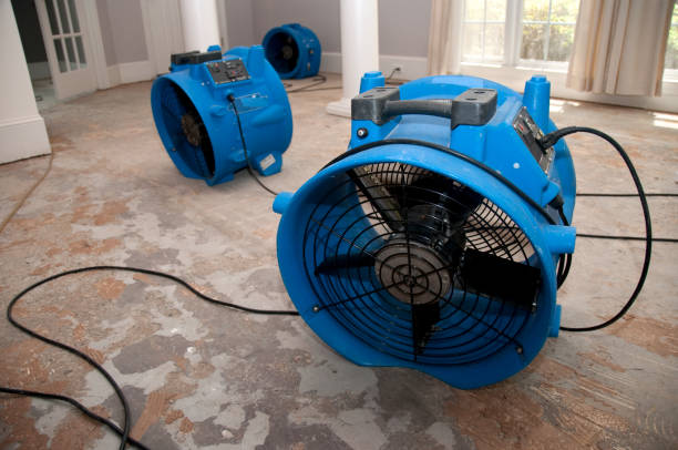 Best Residential water damage restoration  in Cottonwood, CA