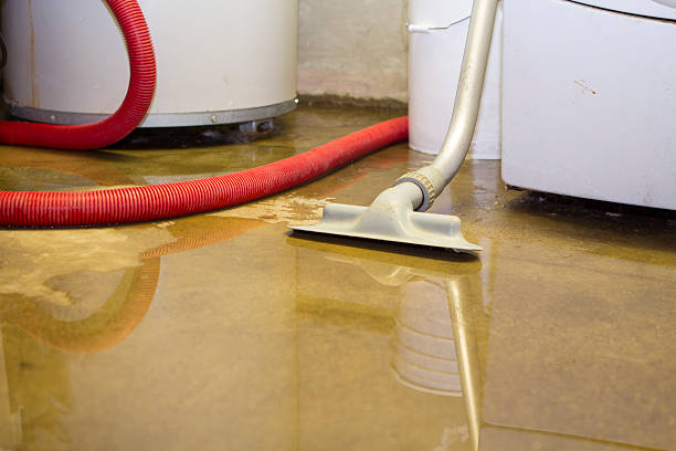  Cottonwood, CA Water damage restoration Pros