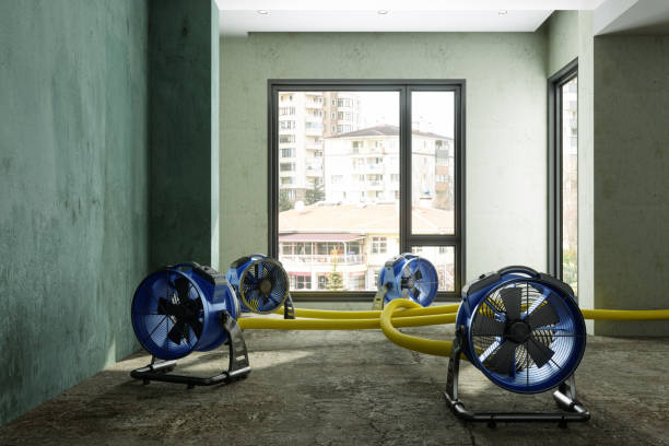 Best Water damage contractors near me  in Cottonwood, CA