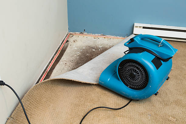 Best Emergency water damage restoration  in Cottonwood, CA